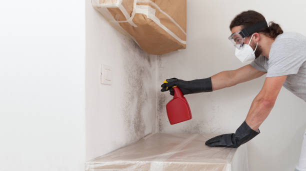 Professional Crawl Space Mold Removal technician working in Medford, MA