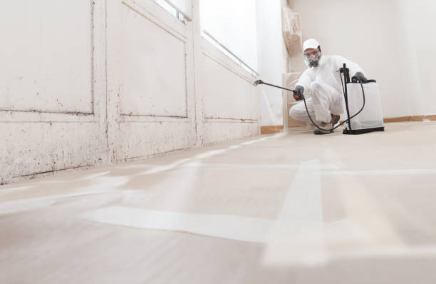 24/7 Emergency Crawl Space Mold Removal experts in Medford, MA