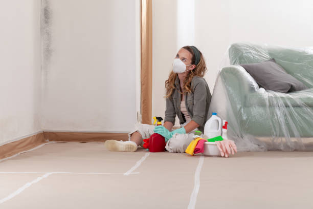 Reliable Crawl Space Mold Removal contractor in Medford, MA by WQB Mold Removal