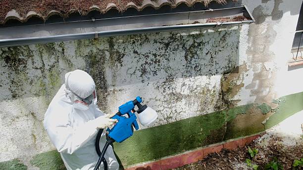 Top rated local Crawl Space Mold Removal specialists in Medford, MA